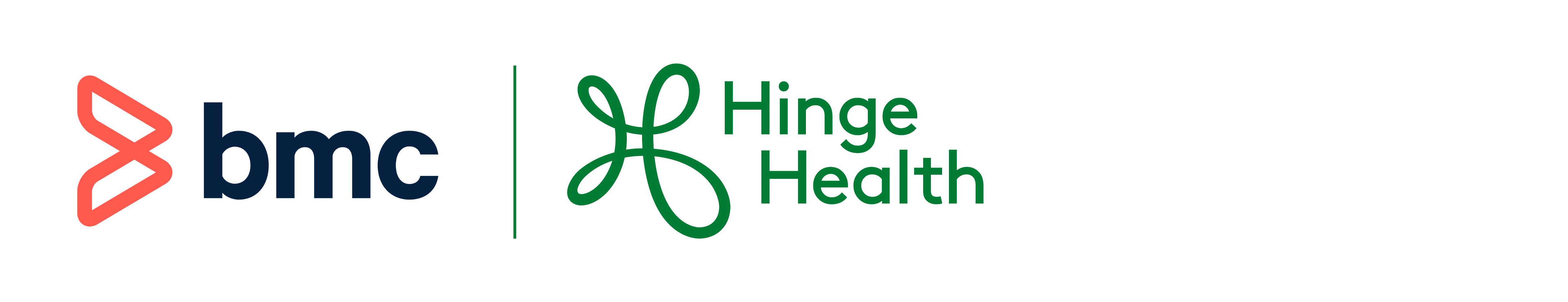 BMC Software | HingeHealth