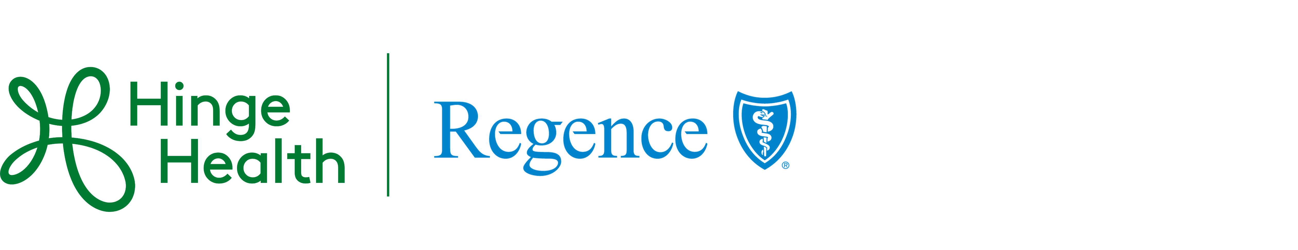 Ralliant Corporation | HingeHealth