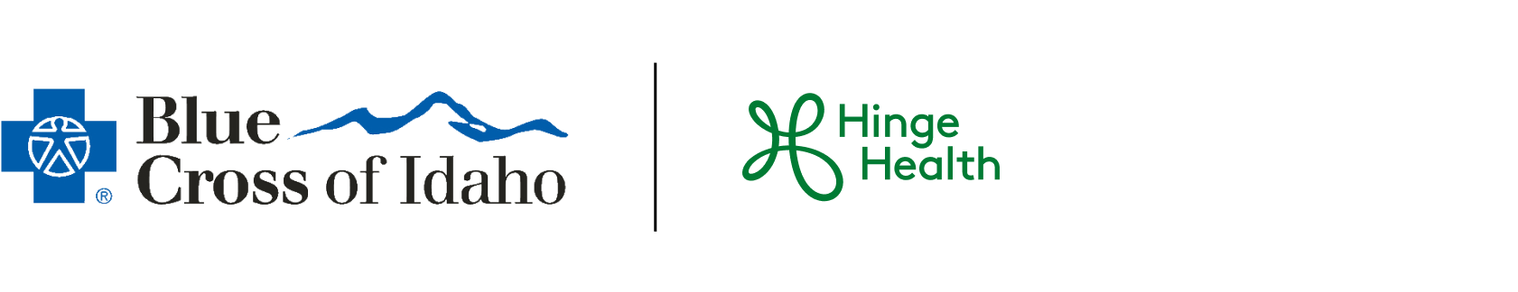 Boise Municipal Healthcare Trust | HingeHealth