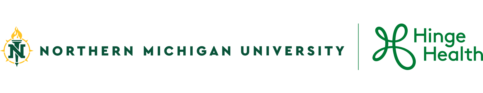 Northern Michigan University | HingeHealth