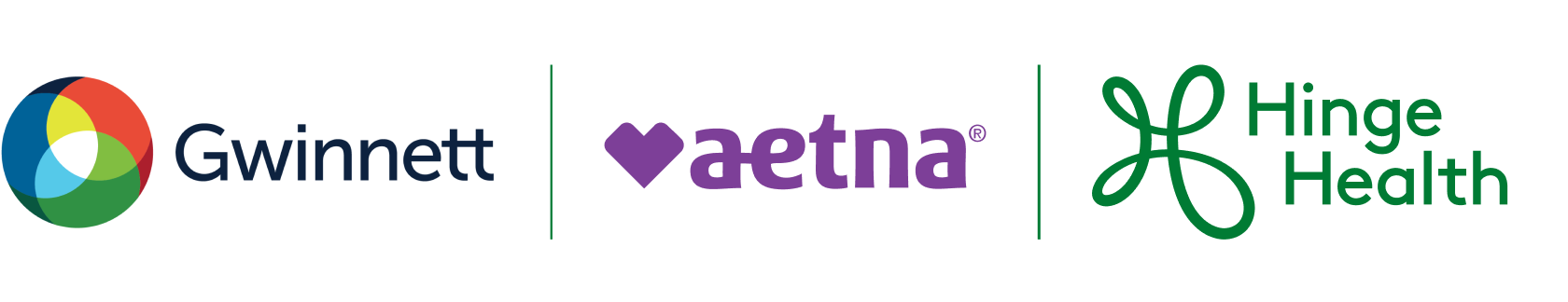 Gwinnett County Government | HingeHealth