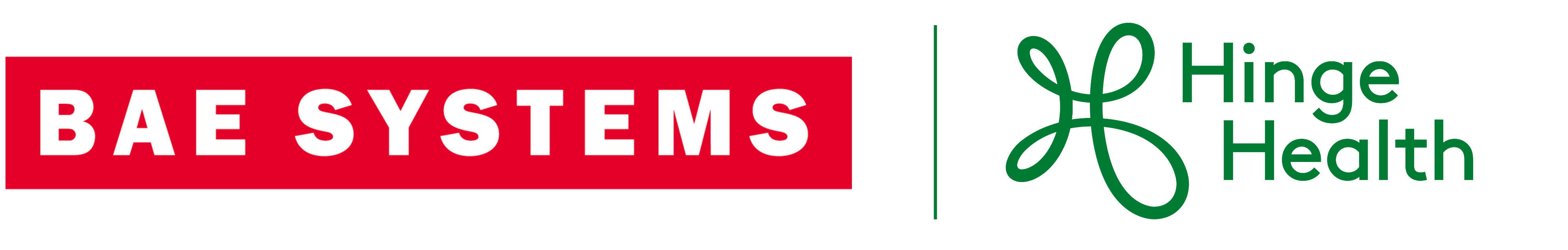 BAE Systems | HingeHealth