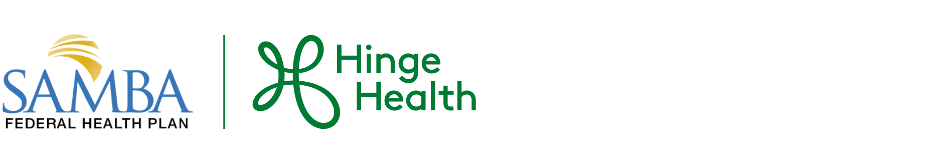 Special Agents Mutual Benefit Association | HingeHealth