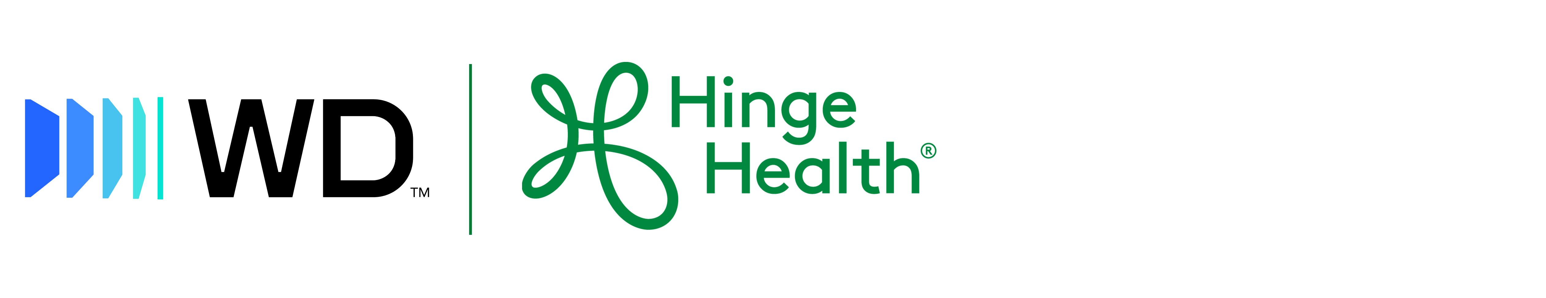 Western Digital | HingeHealth