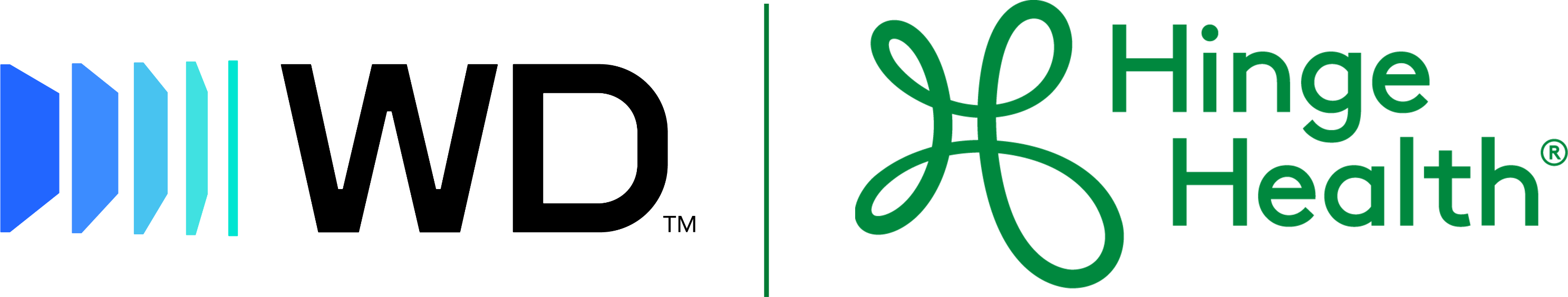 Western Digitali | HingeHealth