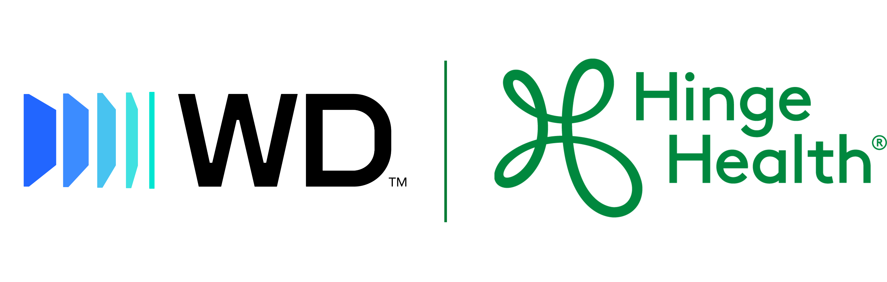 Western Digitali | HingeHealth