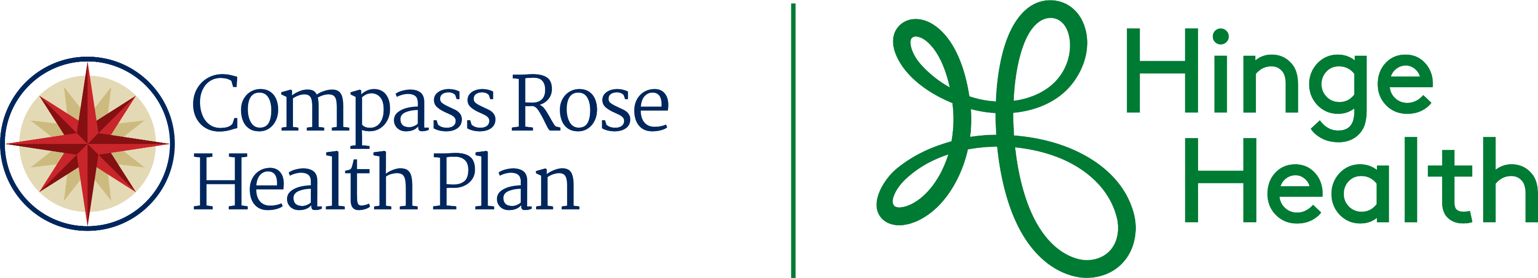 the High Option Compass Rose Health Plan | HingeHealth