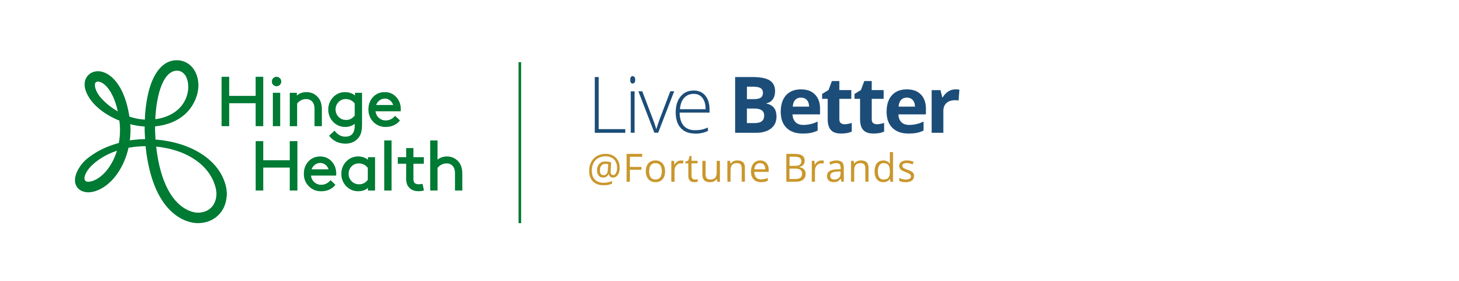 Fortune Brands | HingeHealth
