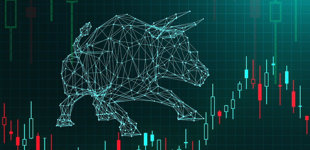 The Case for a 2025 Market Melt-Up