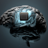 tpd-2-brain