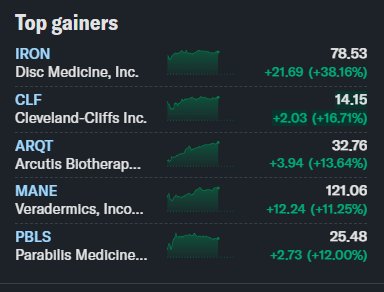 Top Gainers