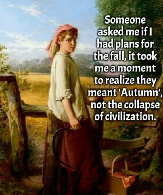 fall meme