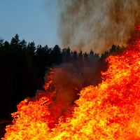 Click here to learn more