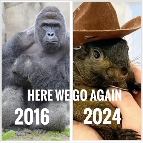 harambe peanut meme