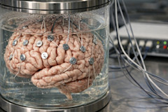 ALC-issue-01-16-26(Featured)