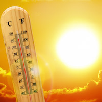 tpd-3-thermometer