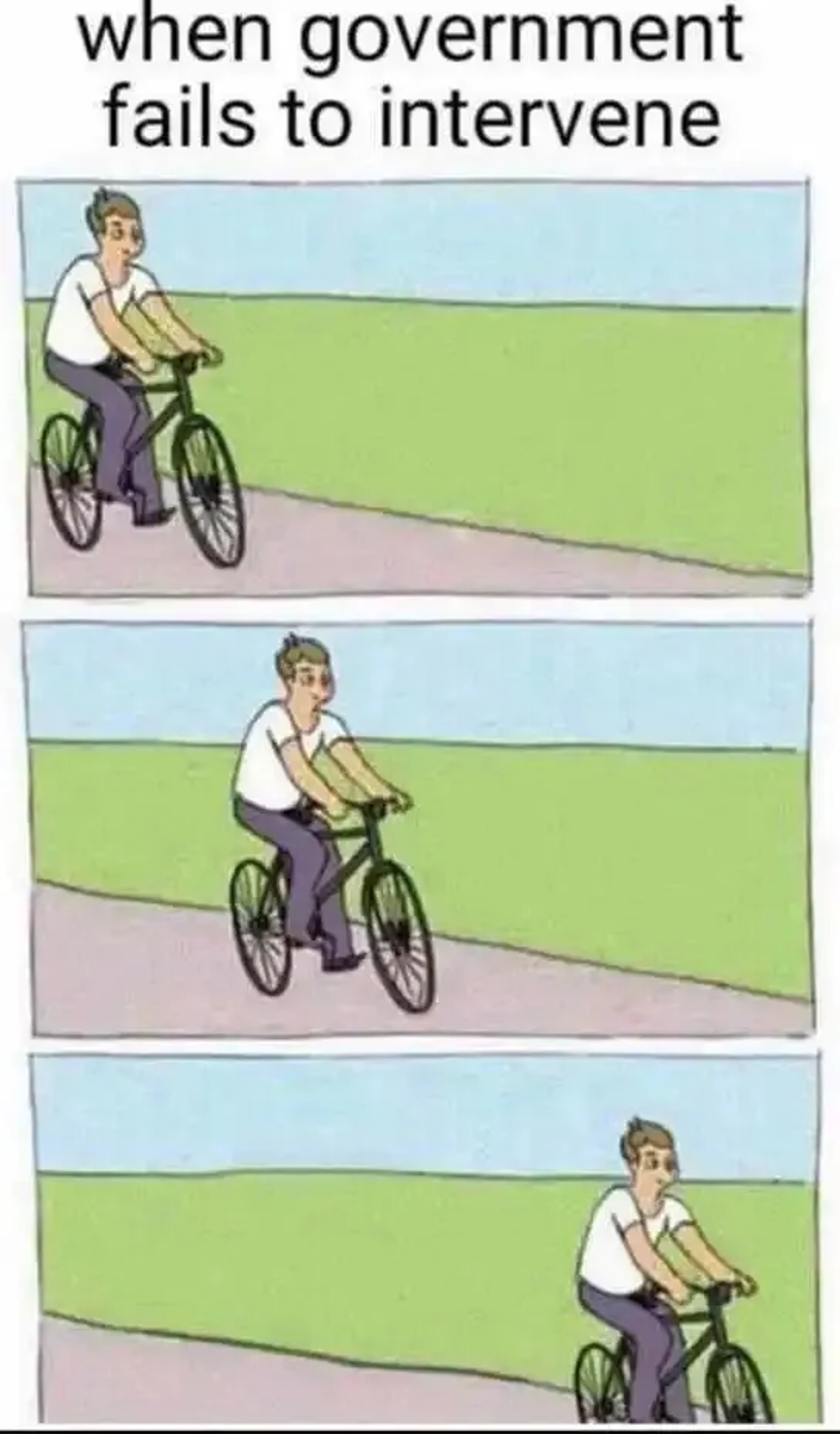 government