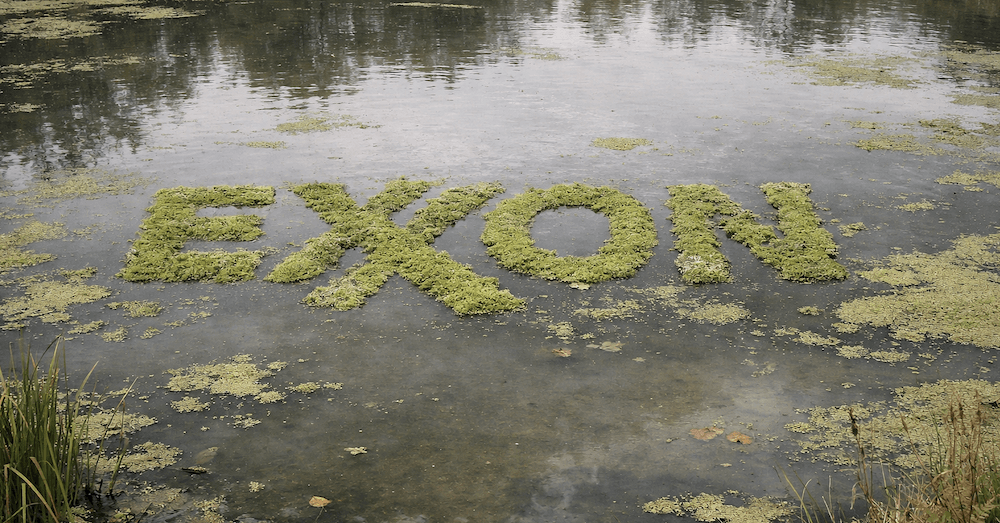 The Green New Scam Exposed