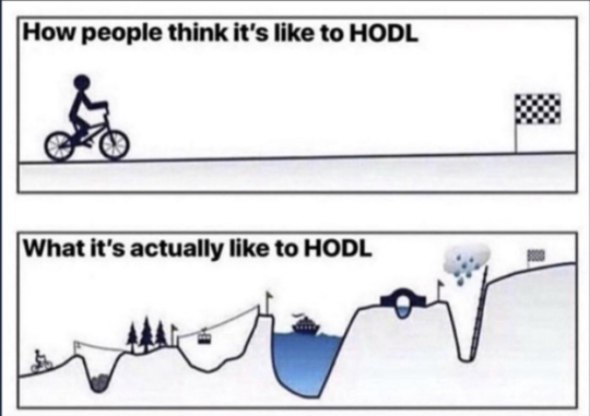 HODL meme