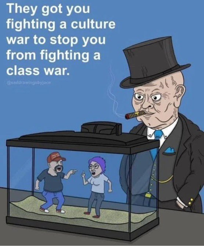 culture and class war comic