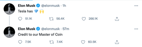 elon tweets