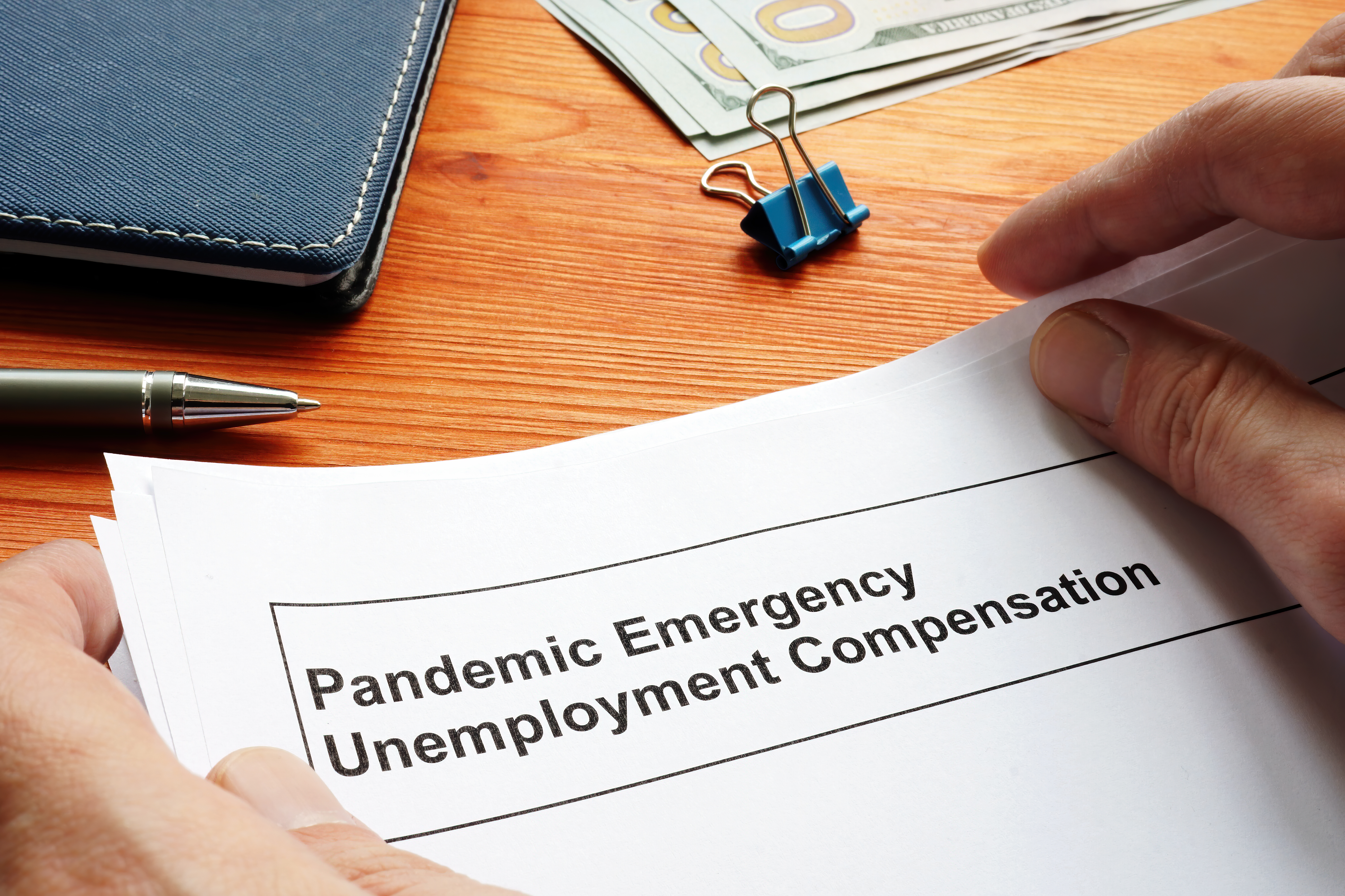 The TRUTH About Pandemic Unemployment Benefits