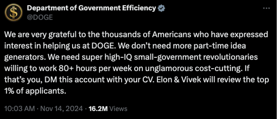 Department of Government Efficiency