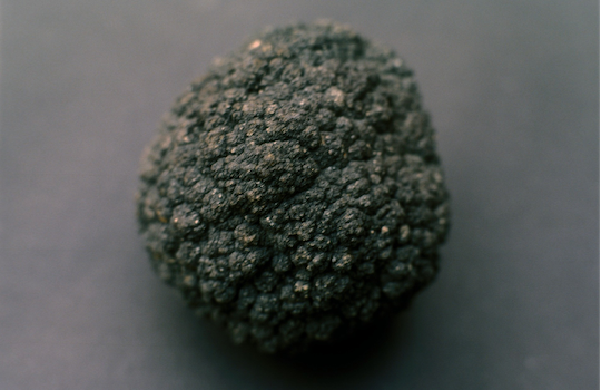 polymetallic nodules