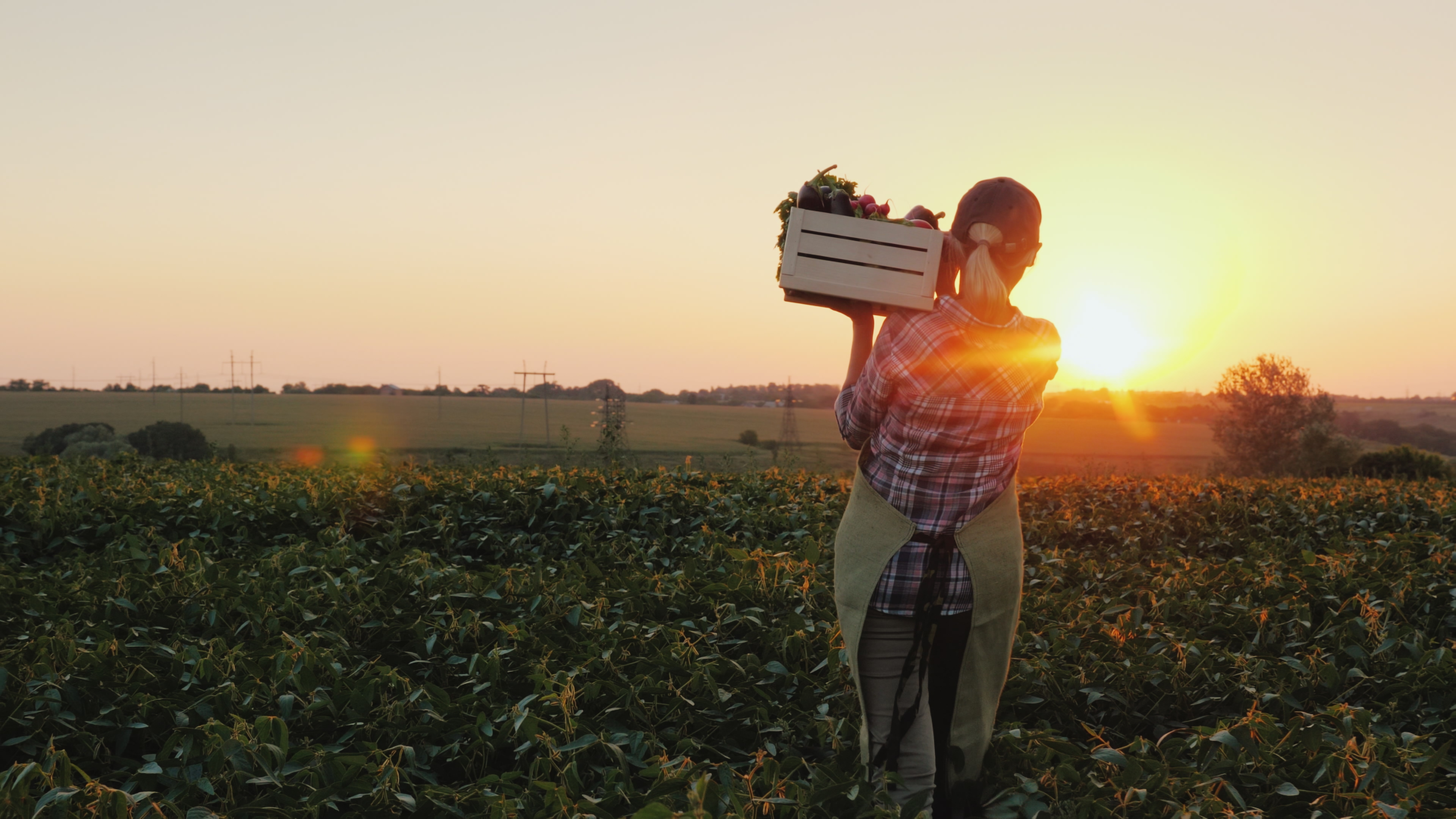 Improving Tomorrow's Food Supply