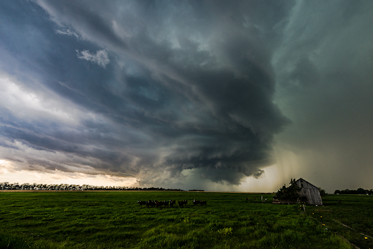 Tornadoes, Trailers, and Ticker Symbols