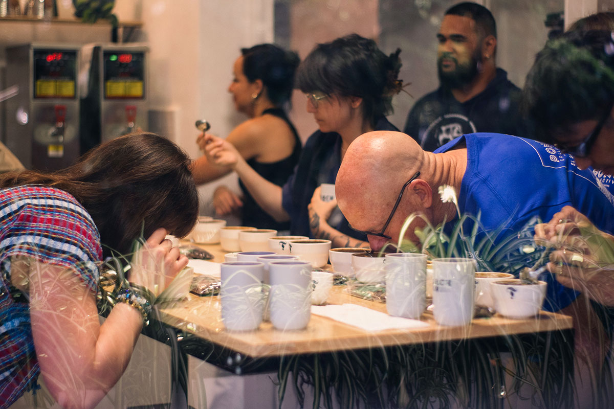 Pono Collective 2025 Reboot