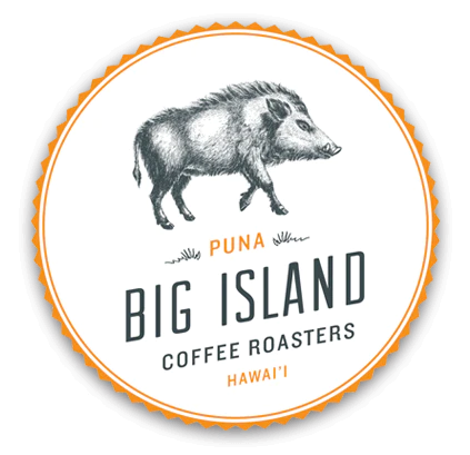 Big Island Logo