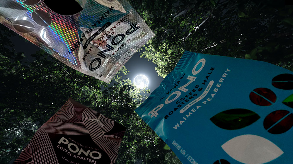 They’re Back for Halloween: 3 Throwback PONO Designs thumbnail