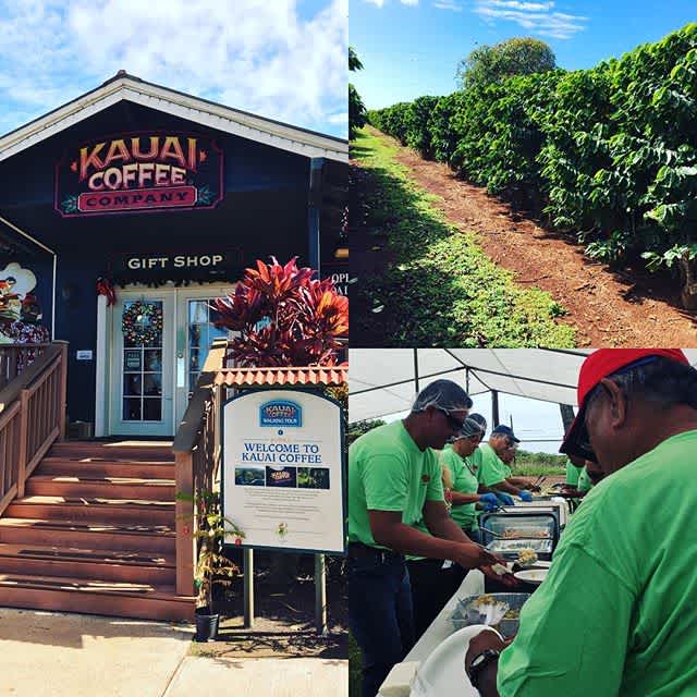 Mahalo to @kauaicoffeeco for an awesome Pau Harvest festival! Thank you for including us - we ❤️working with you guys! #specialtycoffee #endofharvest #kauaicoffee #drinklocal #greatbrandsgreatpackage