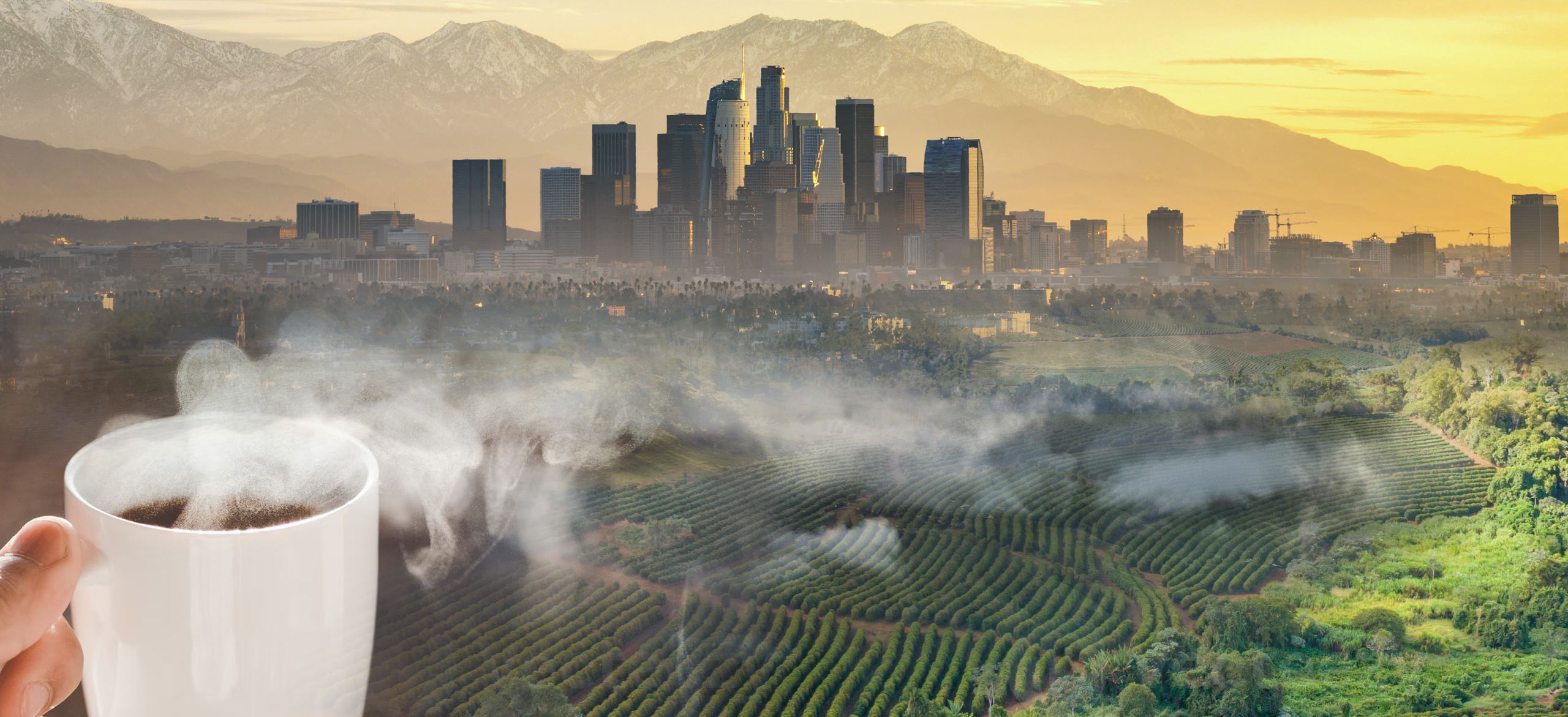 اتجاهات تغليف القهوة على الساحل الغربي لعام 2025 thumbnail