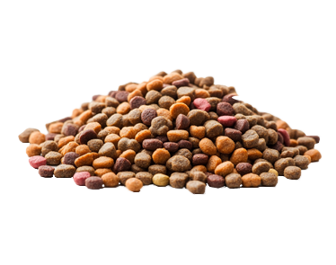 Dry Dog Food (Kibble) card
