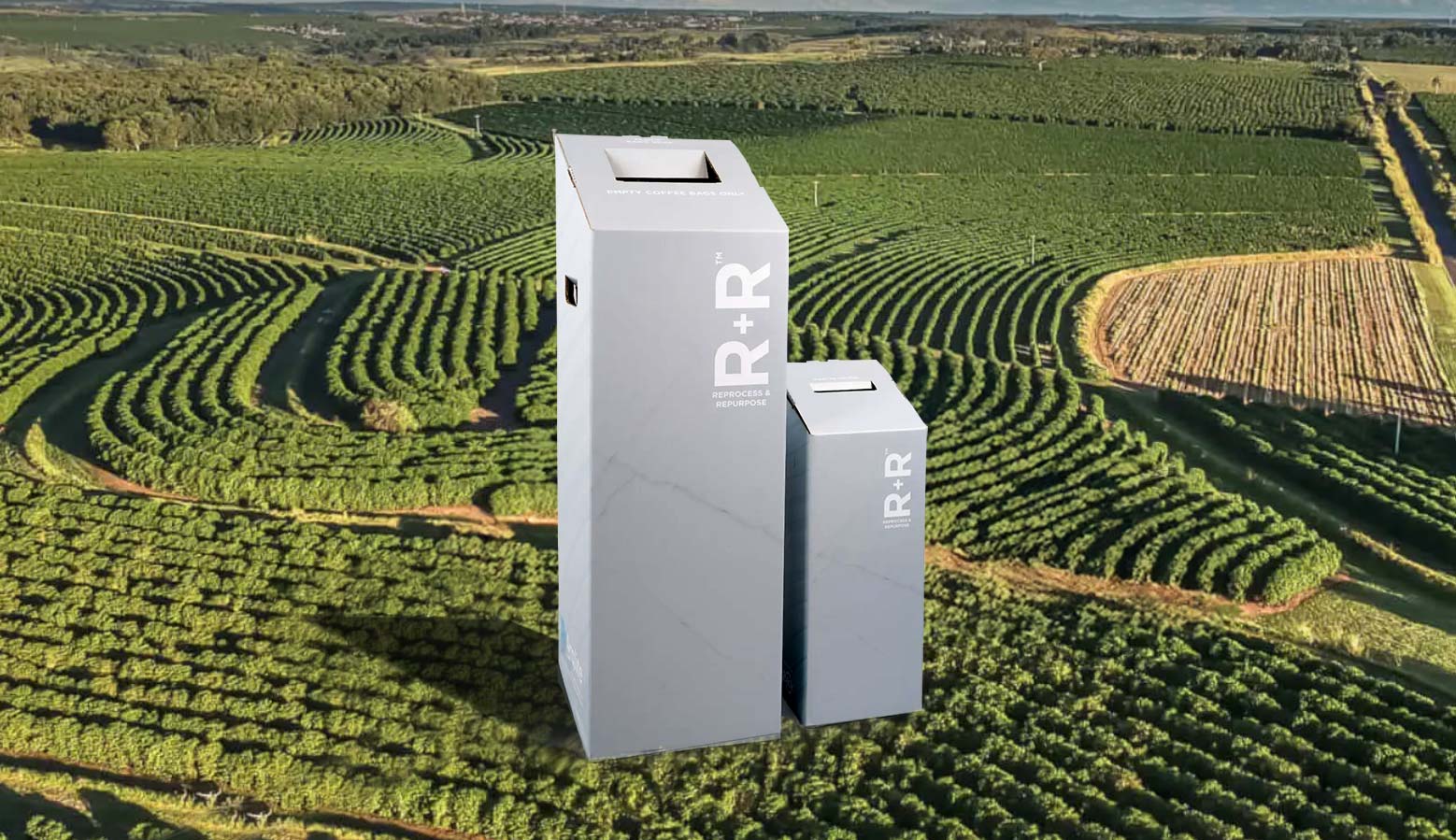 Bring Back the R+R® Boxes: How to Return, Train, and Certify thumbnail