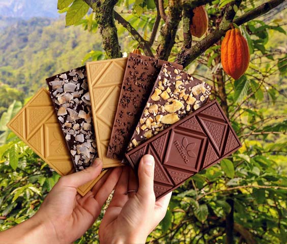 Talking Cacao with Mānoa Chocolate (O'ahu, Hawai'i) thumbnail
