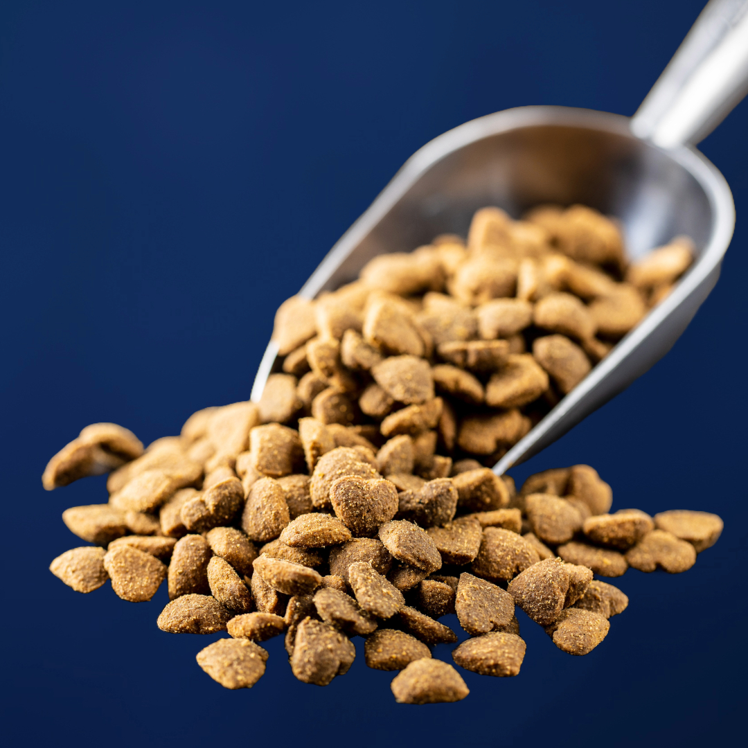 The Perfect Pet Food Packaging Can Do THIS! thumbnail