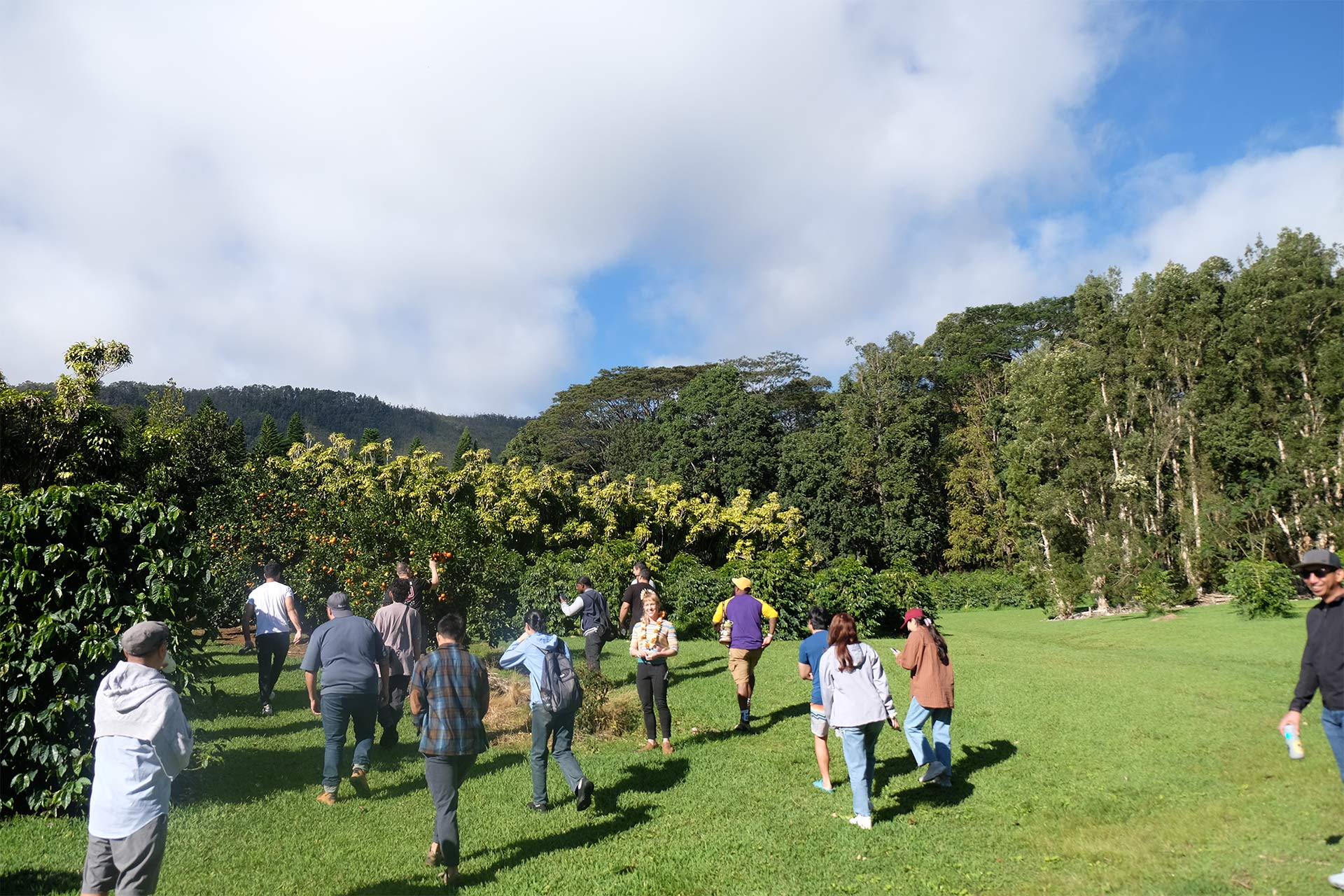 Mehmet and Pono Collective students on coffee farm