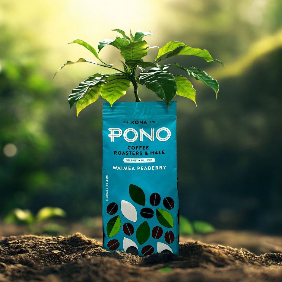 ponoBeanPic