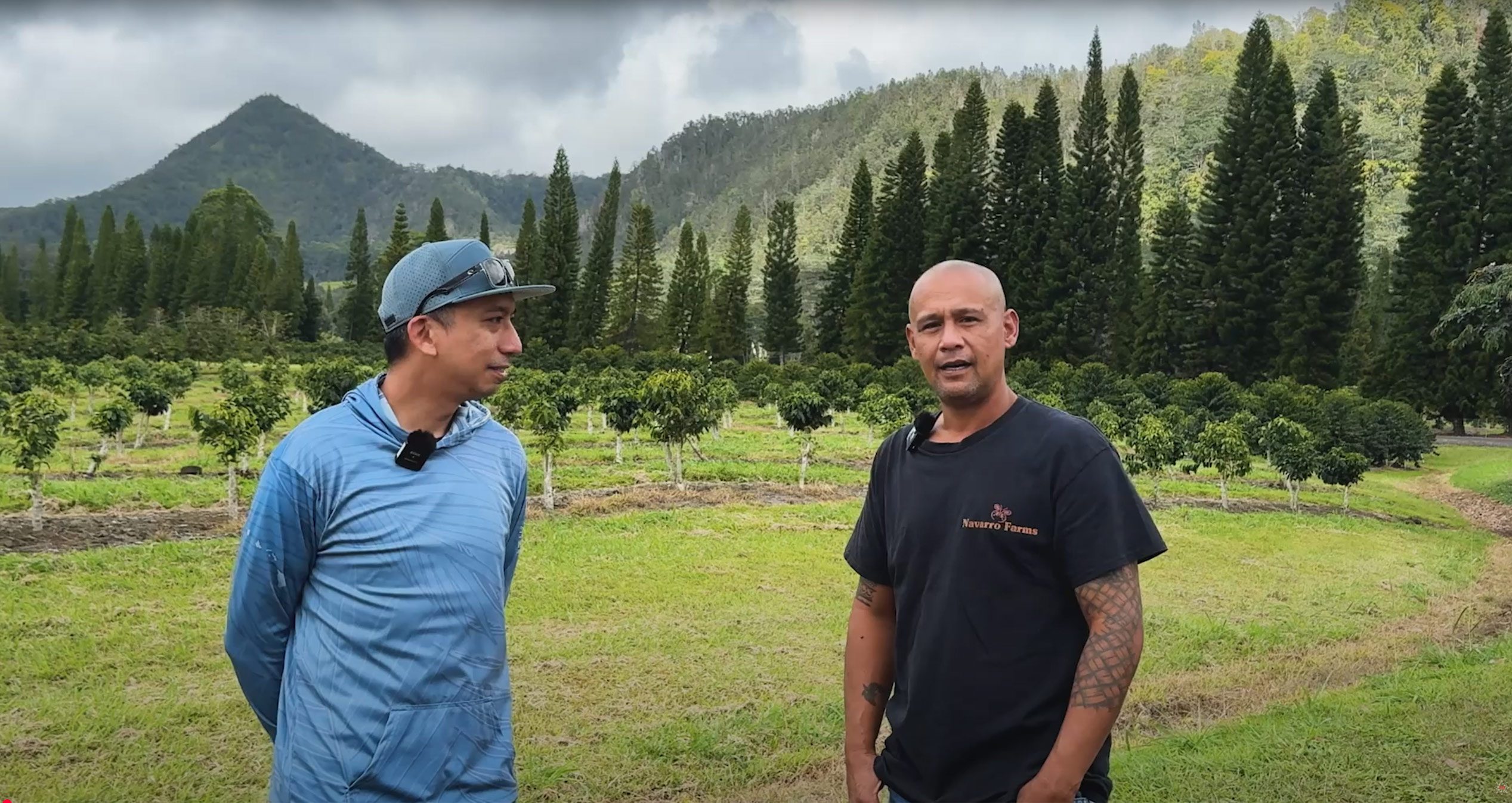 High Elevation, High Honors: Navarro Coffee’s Big Win thumbnail