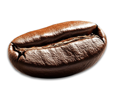 Coffee Packaging card