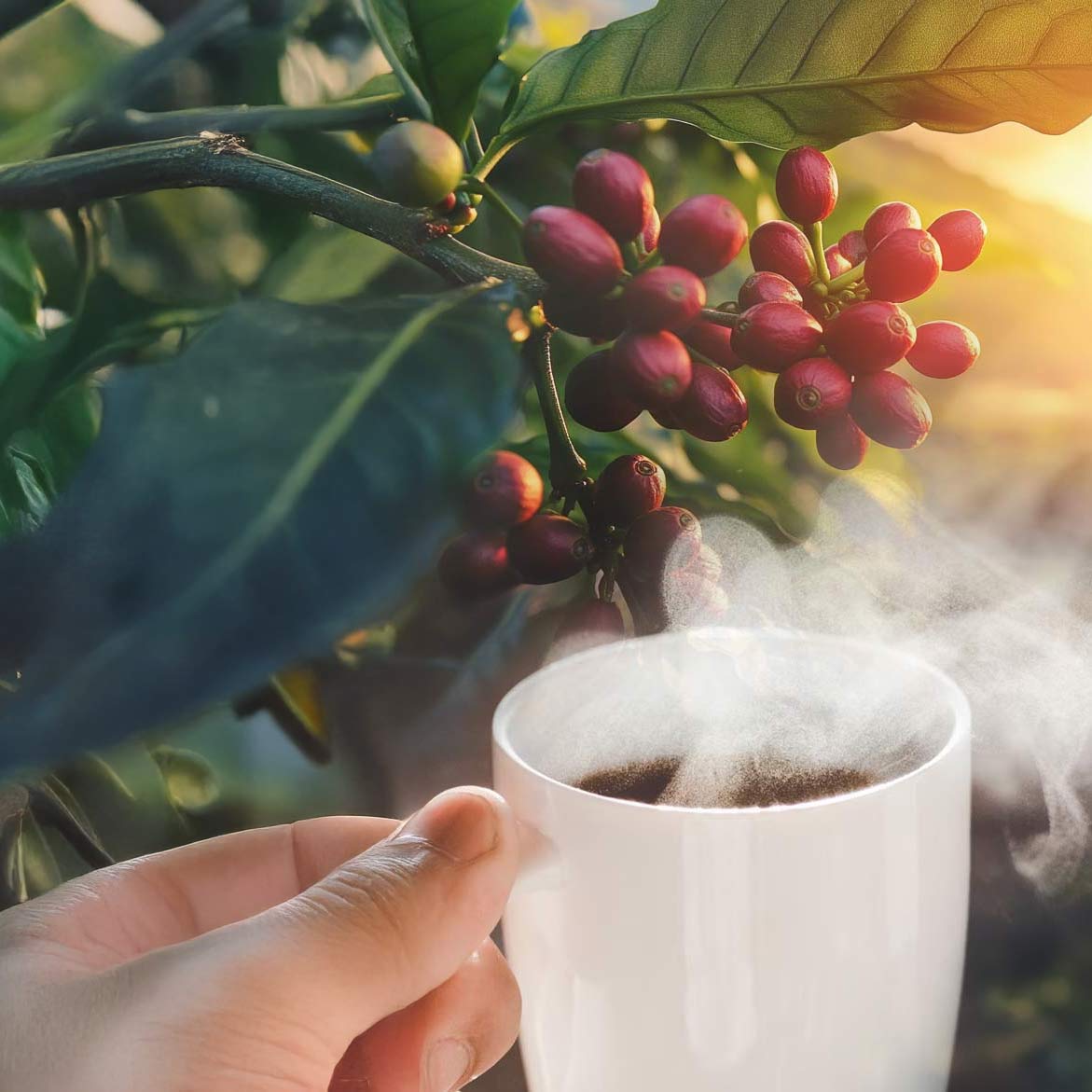 Coffee Cup with Coffee Beans