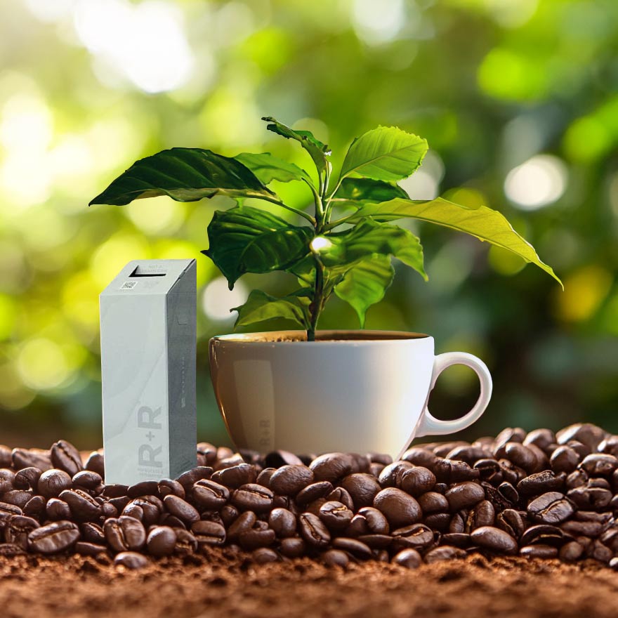 R+R Program Certificate