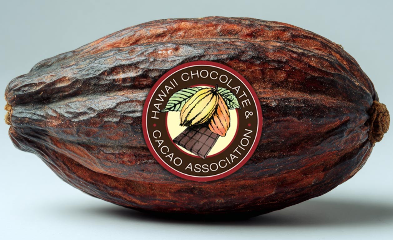 Packaging That Elevates: Savor Brands to Speak at HCCA Conference thumbnail