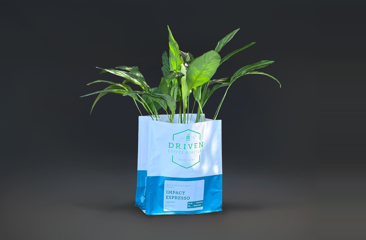 Featuring Driven Coffee 's beautiful bag
