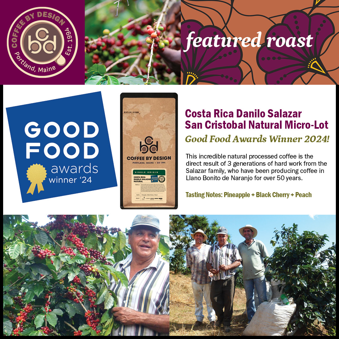 439915086 947559757376370 6810706371840632128 N