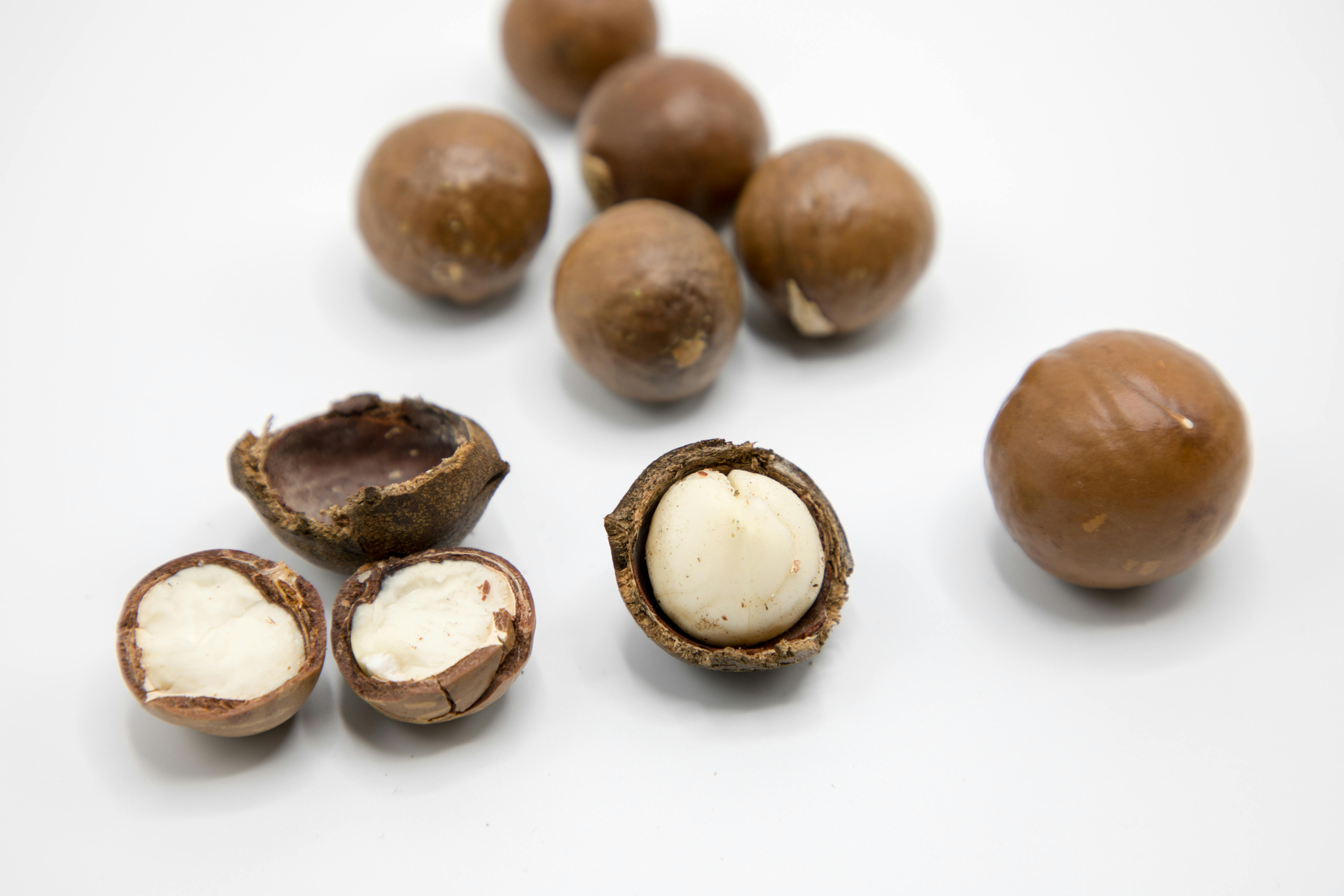 New Hawaii Macadamia Nut Packaging Labeling Law thumbnail