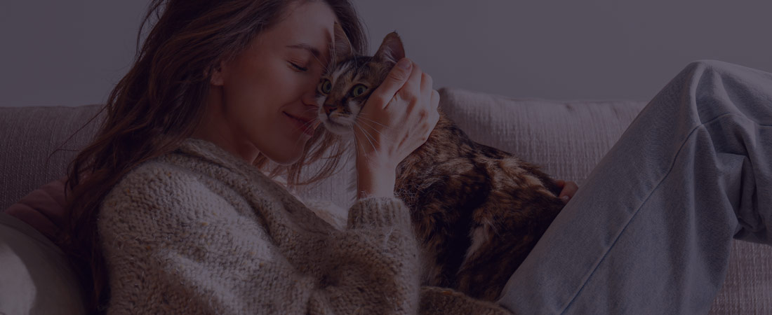 Stanchezza e sonnolenza cause